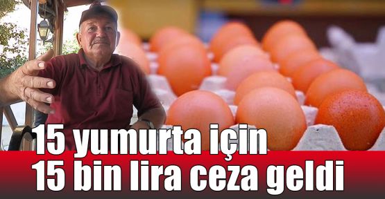  15 yumurta için 15 bin lira ceza geldi