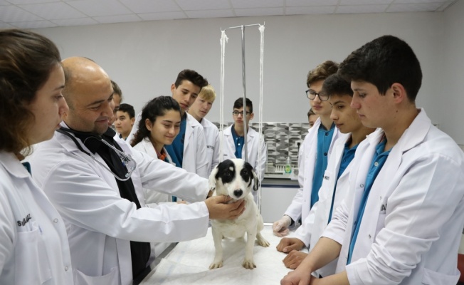 Geleceğin veteriner sağlık teknisyenlerinin okuluna klinik ve ameliyathane kuruldu