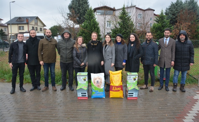 İzmit Belediyesi ve Kocaeli Barosu'ndan sokak hayvanları için anlamlı proje