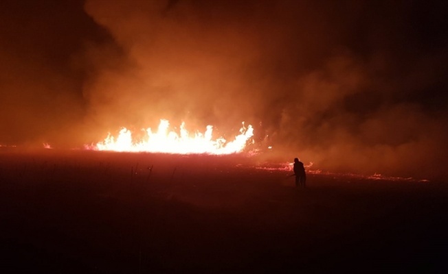 İznik Gölü kıyısındaki sazlık alanda yangın çıktı