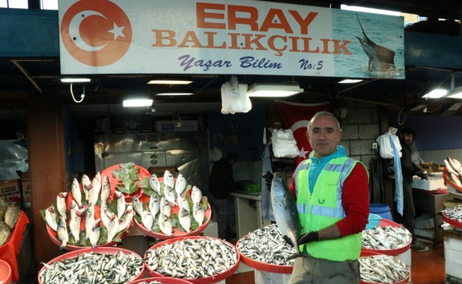 Soğuyan havalar Marmara balıkçısını umutlandırdı