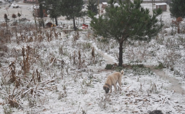 İstanbul'un yüksek kesimlerinde kar etkili oluyor