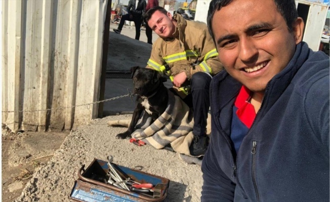 Ağzına konserve kutusu sıkışan köpeği itfaiye ekibi kurtardı