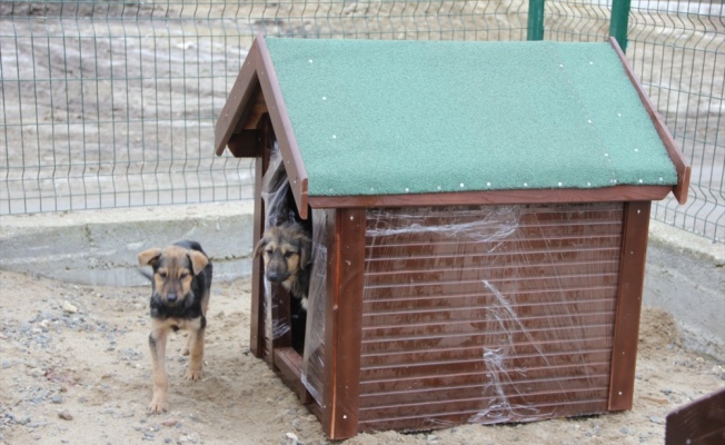 Çerkezköy OSB, hayvan barınağına kulübe ve mama yardımında bulundu