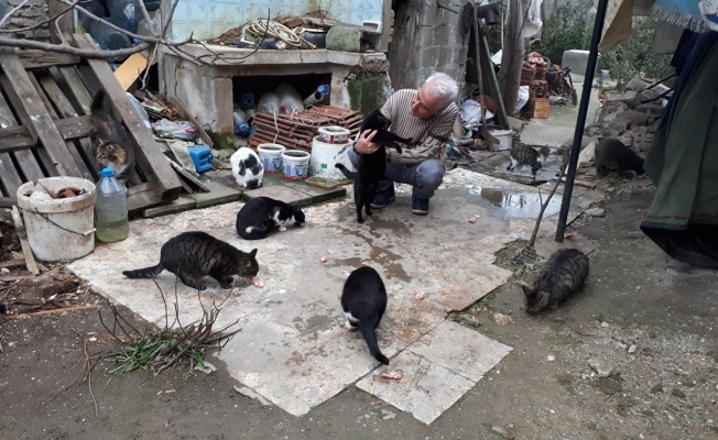 Emekli maaşıyla sokak kedilerini besliyor