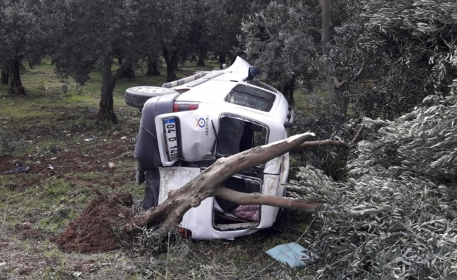 İznik'te kontrolden çıkan hafif ticari araç, ağaca çarptı: 1 yaralı