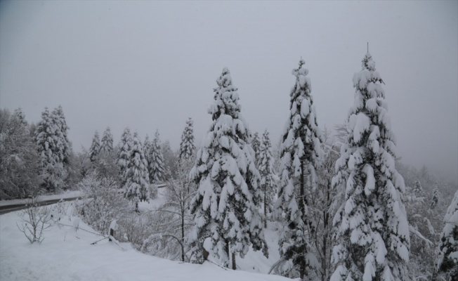 Sakarya'da vatandaşlar karın tadını çıkardı