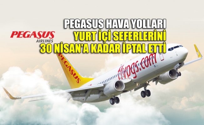 Pegasus Hava Yolları yurt içi seferlerini 30 Nisan'a kadar iptal etti