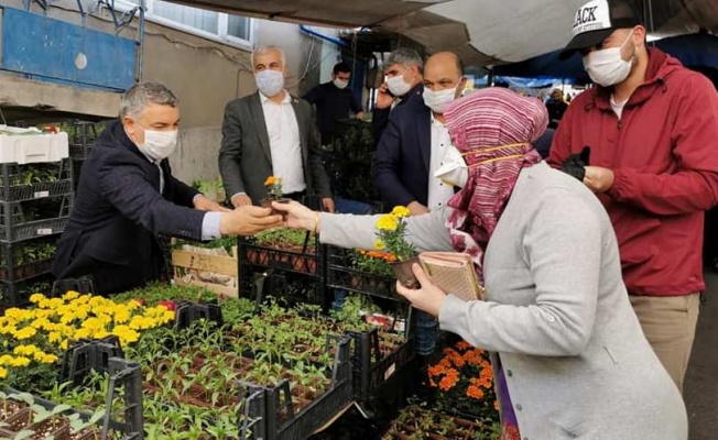 Başkan Şayir, vatandaşlara çiçek tohumu dağıttı