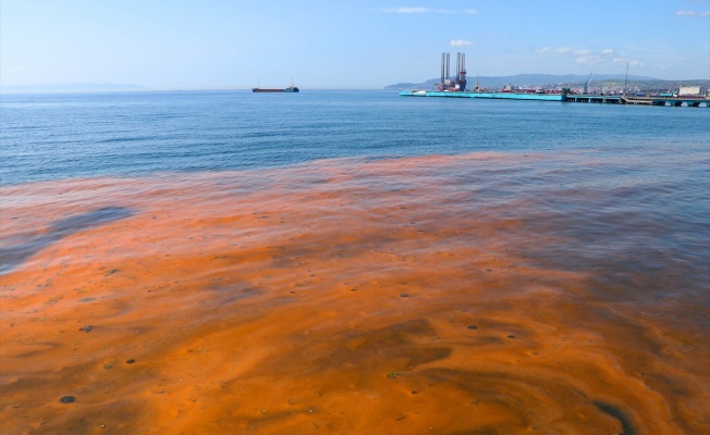 Planktonların çoğalmasıyla Marmara Denizi turuncuya büründü