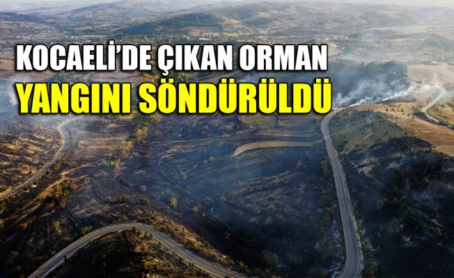 Kocaeli'de çıkan orman yangını söndürüldü