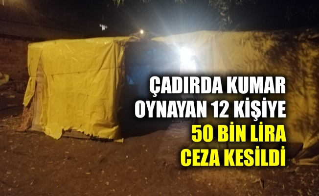 Çadırda kumar oynayan 12 kişiye 50 bin lira ceza kesildi