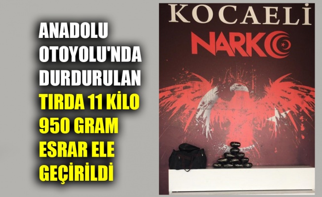 Anadolu Otoyolu'nda durdurulan tırda 11 kilo 950 gram esrar ele geçirildi