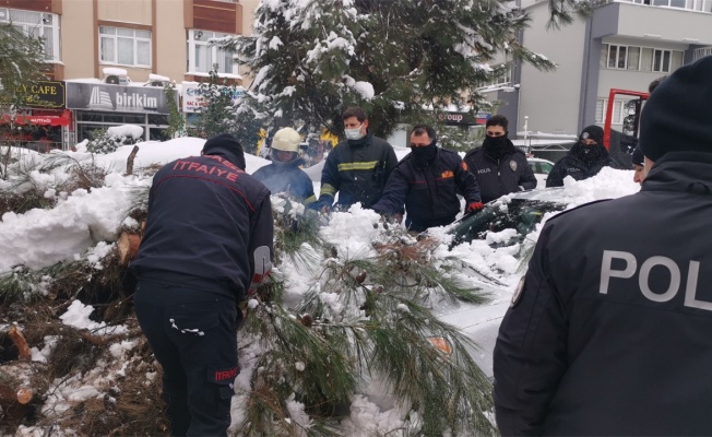 Gebze'de fırtına ve kar nedeniyle devrilen ağaç otomobile zarar verdi