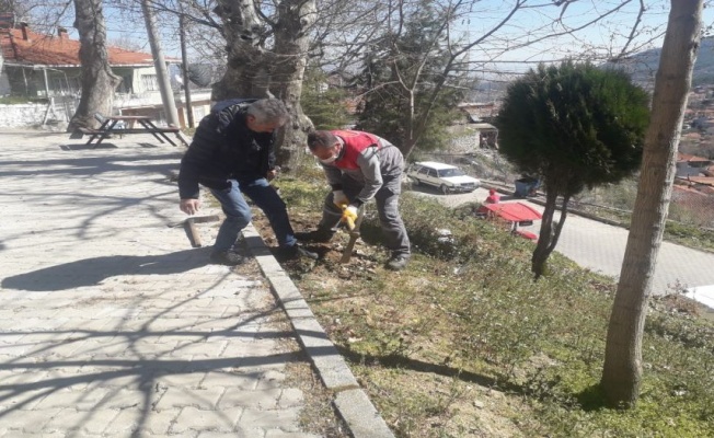 Buldan Belediyesi’nden ağaçlandırma çalışmaları
