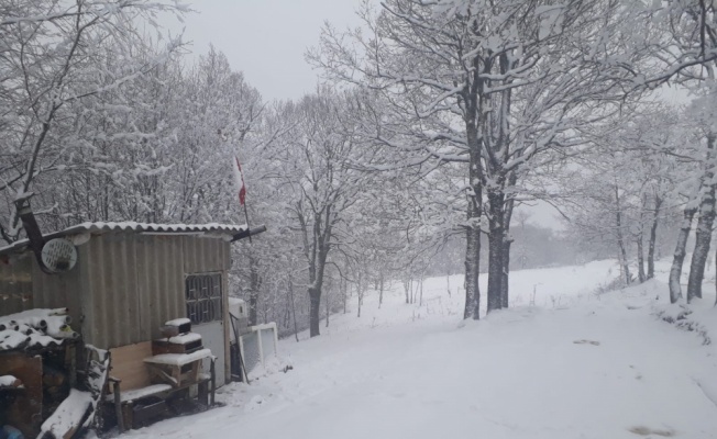 Pazaryeri ilçesinde kar yağışı başladı
