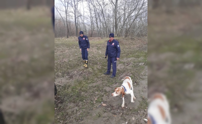Sındırgı'da çayda mahsur kalan köpek itfaiye ekiplerince kurtarıldı