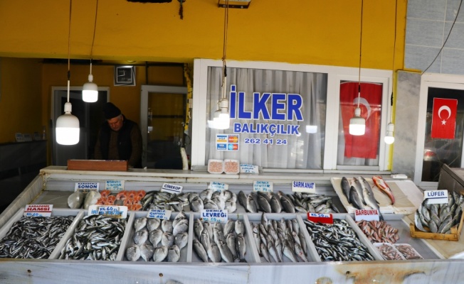 Tekirdağ'da deniz salyası nedeniyle avcılığın azalması hamsi ve istavritin fiyatını artırdı