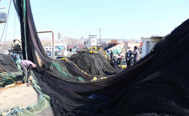 Tekirdağlı balıkçılar, Marmara'daki deniz salyası yüzünden dümeni Karadeniz'e kıracak