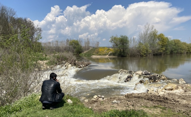 Edirne'de kaybolan yaşlı adamı Tunca Nehri'nde arama çalışmaları sürüyor
