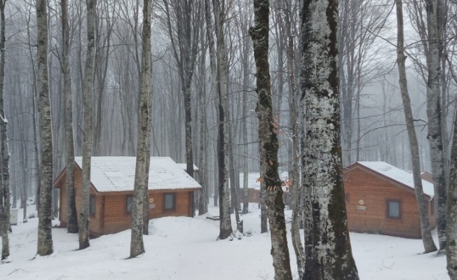 Kocaeli'nin yüksek kesimlerinde kar yağışı etkili oluyor