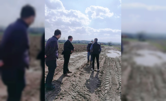Mudanya'da sağanaktan zarar gören tarım arazilerinde inceleme yapıldı