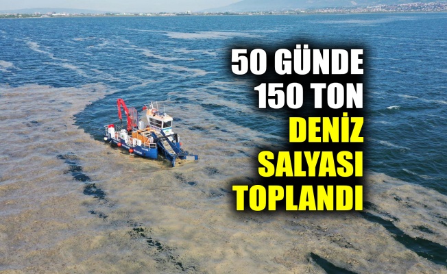 50 günde 150 ton deniz salyası toplandı