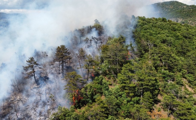 Balıkesir'de çıkan orman yangınında 3 hektarlık alan zarar gördü