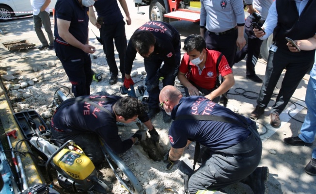 Kocaeli'de itfaiye ekipleri yavru köpeği sıkıştığı su kanalından kurtardı