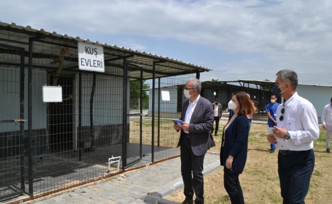 TBMM KEFEK Başkanı Aksal ve Başkan Helvacıoğlu Sokak Hayvanları Barınağı'nı ziyaret etti