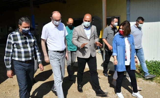 Balıkesir Valisi Hasan Şıldak'tan Bandırma Koyunculuk Araştırma Enstitüsüne ziyaret