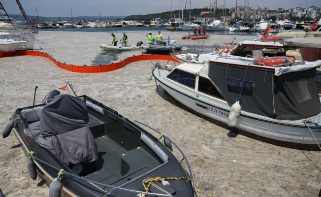 Çanakkale Boğazı'nın Ege çıkışında da gözlemlenen müsilaj küçük tekneleri tehdit ediyor