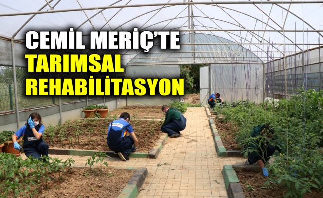 Cemil Meriç’te tarımsal rehabilitasyon