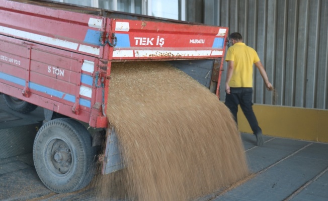 Lüleburgaz'da sezonun ilk hasat buğdayı borsaya teslim edildi