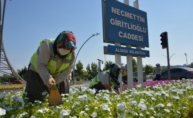 İzmir Aliağa çiçeklerle renkleniyor