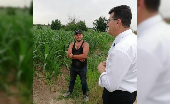 Kırklareli'nde yerli mısır çeşitlerinin verimliliği test edilecek