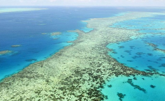 UNESCO, Büyük Bariyer Resifi’ni ‘kırmızı liste’ye alacak
