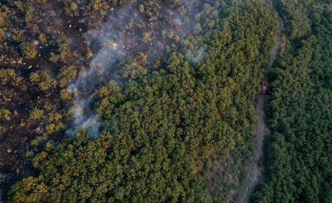 Balıkesir'in Savaştepe ilçesinde çıkan orman yangını kontrol altına alındı