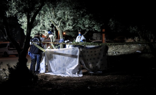 Bursa'da zeytinlikte erkek cesedi bulundu