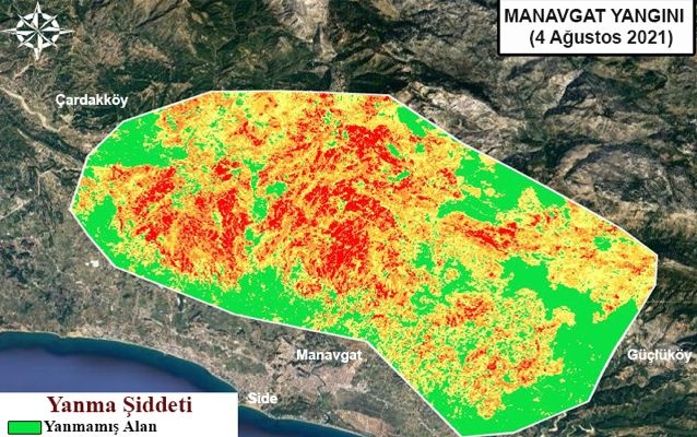 Gebze Teknik Üniversitesi, orman yangınlarının etkili olduğu alanları haritalandırdı: