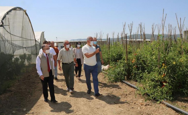 Özbekistan’dan Bursa’ya tarımsal ziyaret