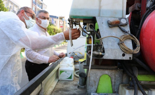 Trakya'da yoğun görülen dantel böceği popülasyonu kimyasal mücadele sonrası azaldı
