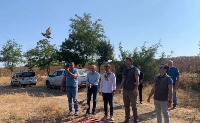 Edirne'de tarım alanlarındaki zararlılarla mücadele için doğaya 200 keklik salındı