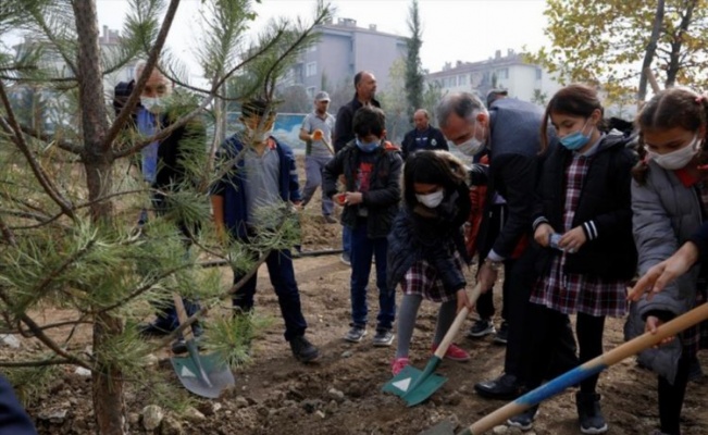 Bursa İnegöl'de 63 ağaç toprakla buluştu 