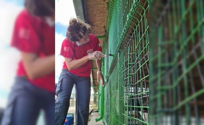 Bursa'da arama kurtarma ekibi ve hayvanseverler barınakta tadilat yaptı