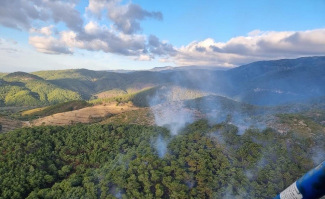 GÜNCELLEME - Balıkesir'in Edremit ilçesinde çıkan orman yangını kontrol altına alındı