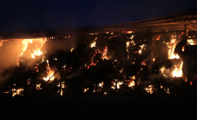 Kırklareli'nde hayvan çiftliğinde çıkan yangına müdahale ediliyor