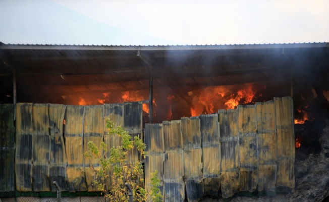 Kırklareli'nde besi çiftliğindeki yangını söndürme çalışmaları sürüyor