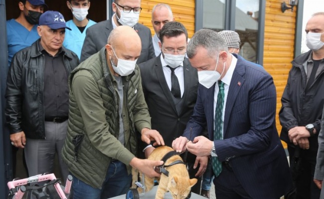 Kocaeli Büyükşehir ve 11 ilçe belediyesi sokak hayvanları için protokol imzaladı