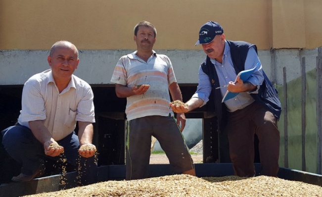 Kocaeli'de çiftçiye gübre ve tohum desteği